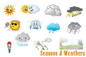 Top 10 bài hát tiếng Anh cho trẻ em theo chủ đề Seasons and Weather - Các mùa trong năm và Thời tiết