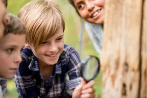 Top 10 hoạt động STEM cho trẻ mầm non học về Côn trùng