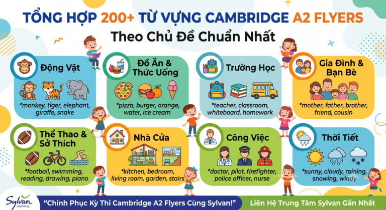 Tổng Hợp 200+ Từ Vựng Cambridge A2 Flyers Theo Chủ Đề Chuẩn Nhất